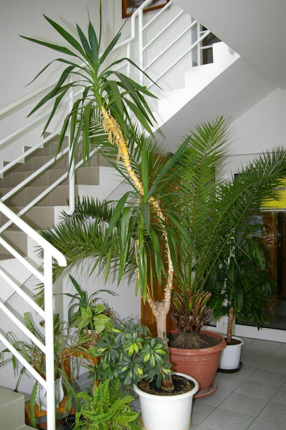 Arizona Apartman Siófok Buitenkant foto